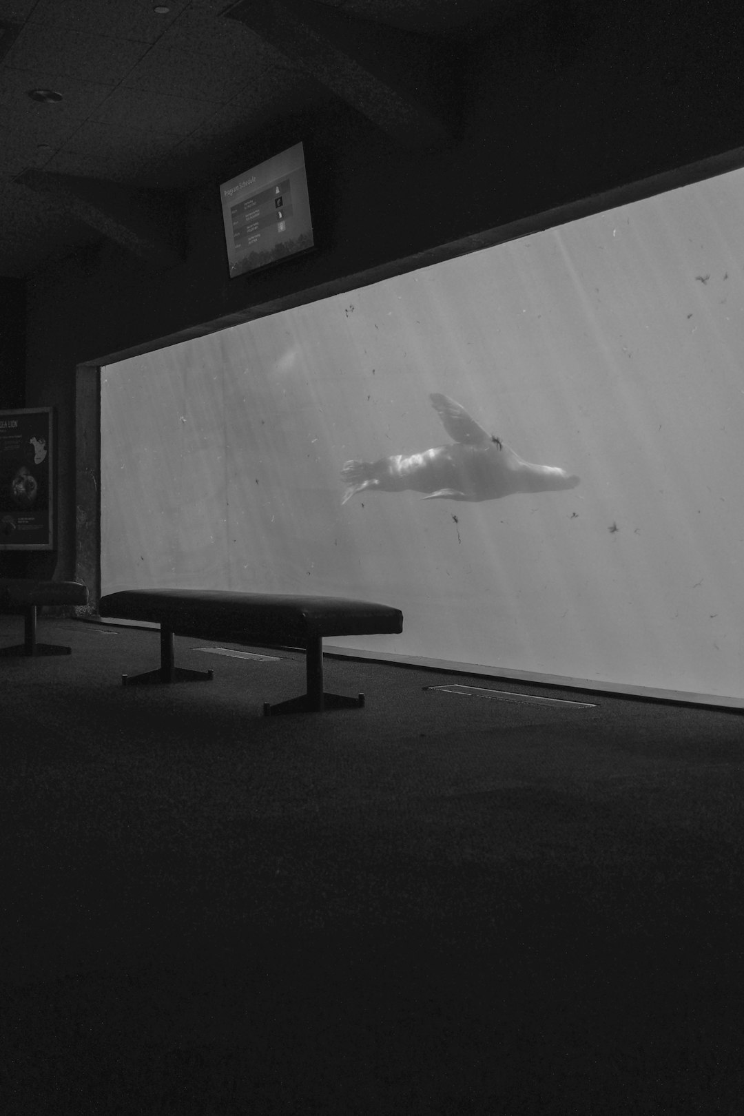 Сколько серий в сериале Чужая Стая 2 сезон?